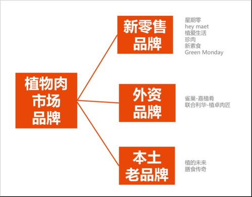 塔望食品品牌策劃 中國植物肉市場品牌盤點與文化經紀人服務新路徑