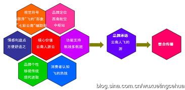 彩云之翼，文化為帆——東方航空云南市場品牌營銷策劃紀(jì)實(shí)